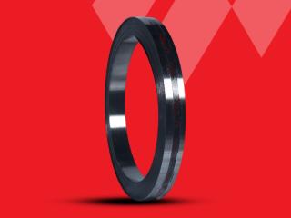 HARDENED & TEMPERED STEEL STRIPS